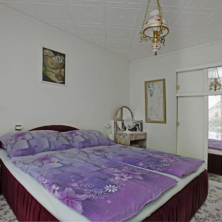 Pension Villa Hany Mariánské Lázně Extérieur photo